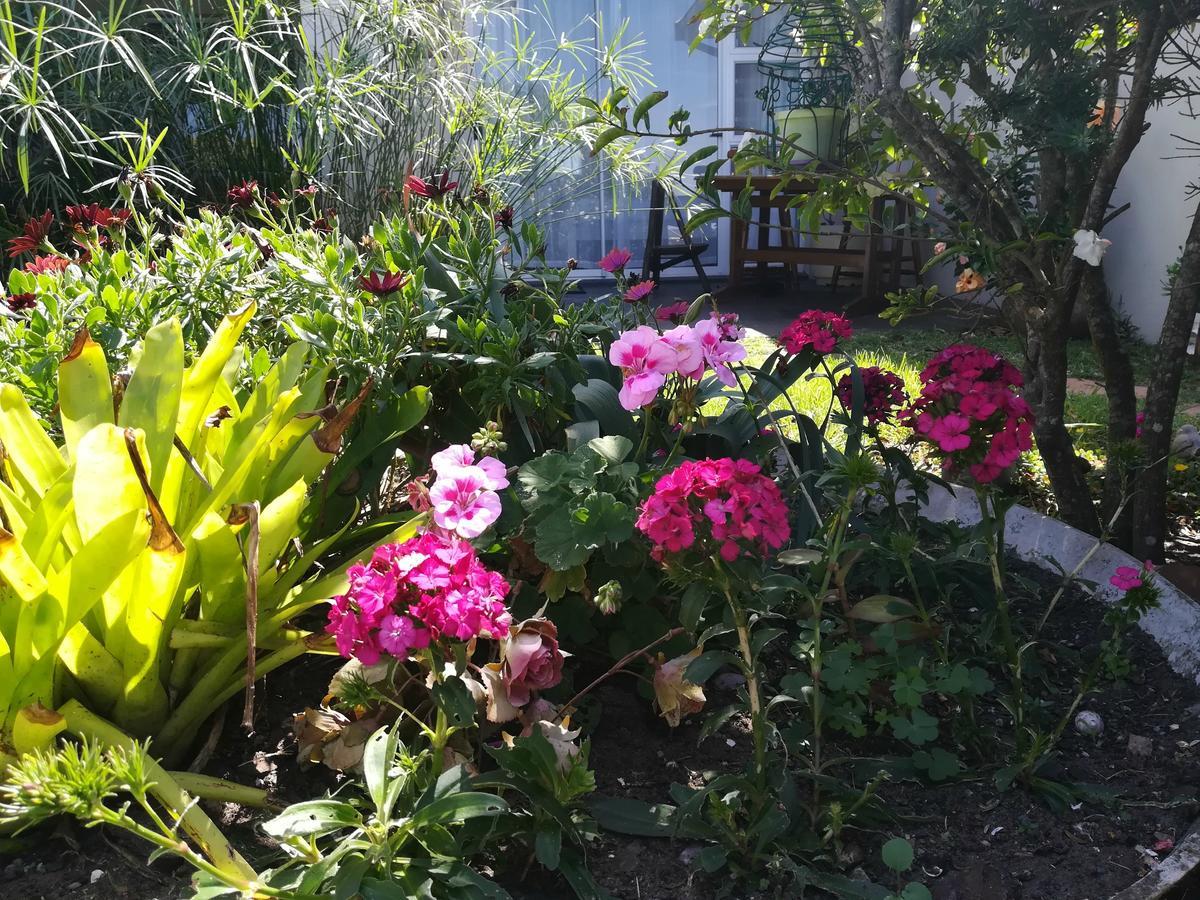 The Coelacanth Guest House And Beach Thyme Self Catering Kiddʼs Beach Zewnętrze zdjęcie