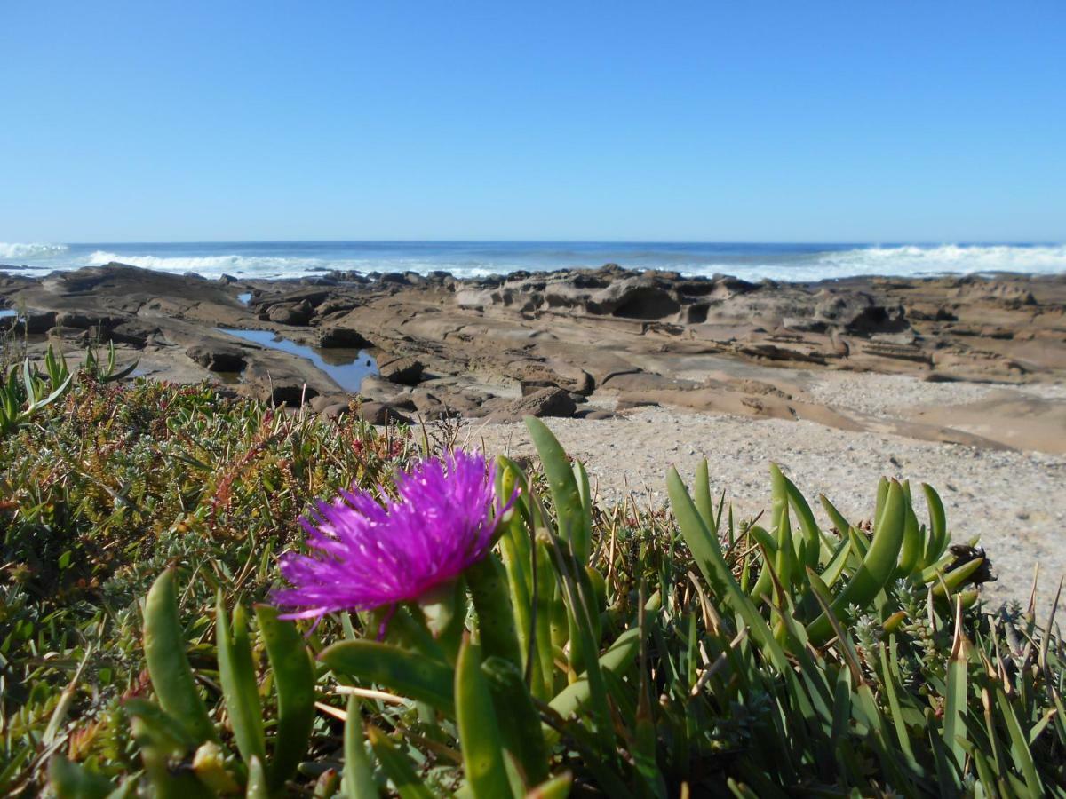 The Coelacanth Guest House And Beach Thyme Self Catering Kiddʼs Beach Zewnętrze zdjęcie